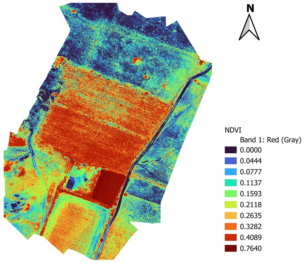 NDVI Crop Health Map