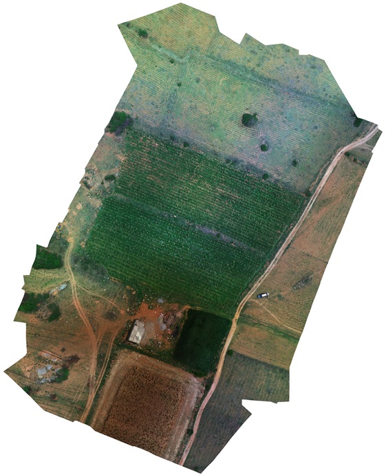 RGB Aerial Orthomosaic