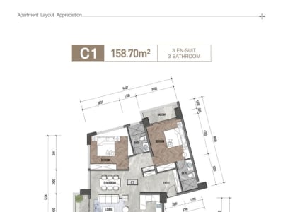3 Bedroom Apartments