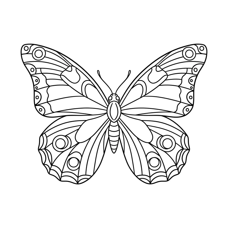 Easy Symmetrical Butterfly Coloring Page | Free Printable
