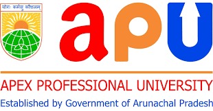 Apex Professional University