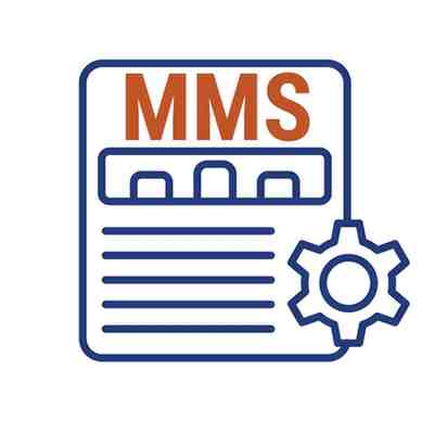 MMS (Master of Management Studies)