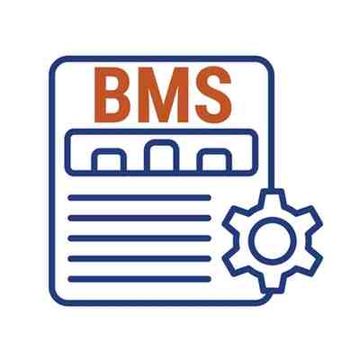 BMS (Bachelor's of Management Studies)