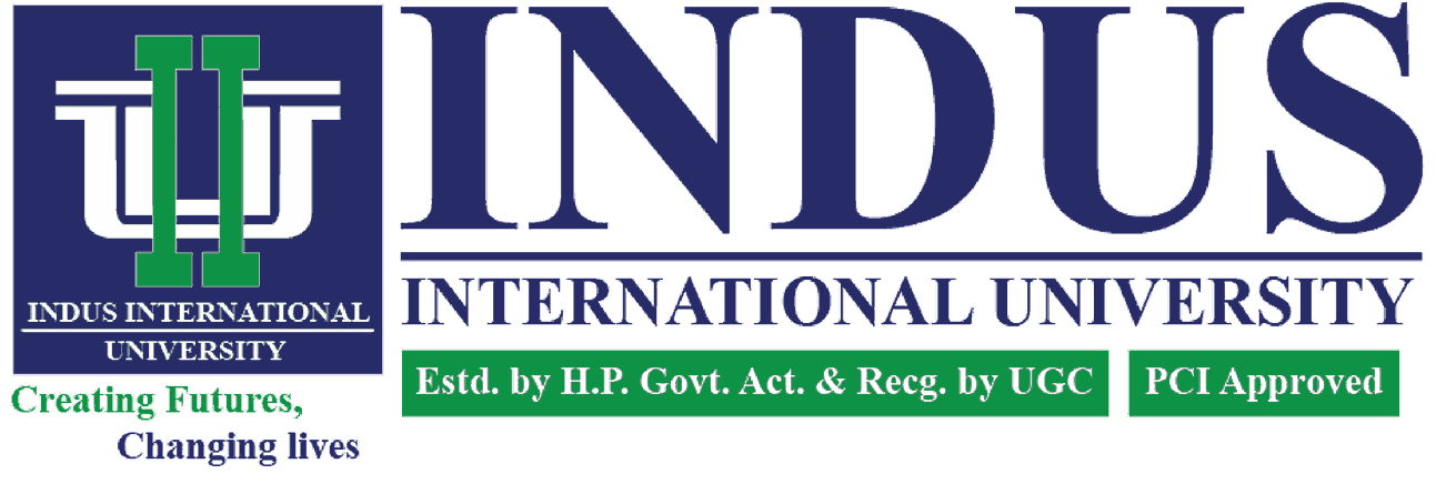 Indus International University