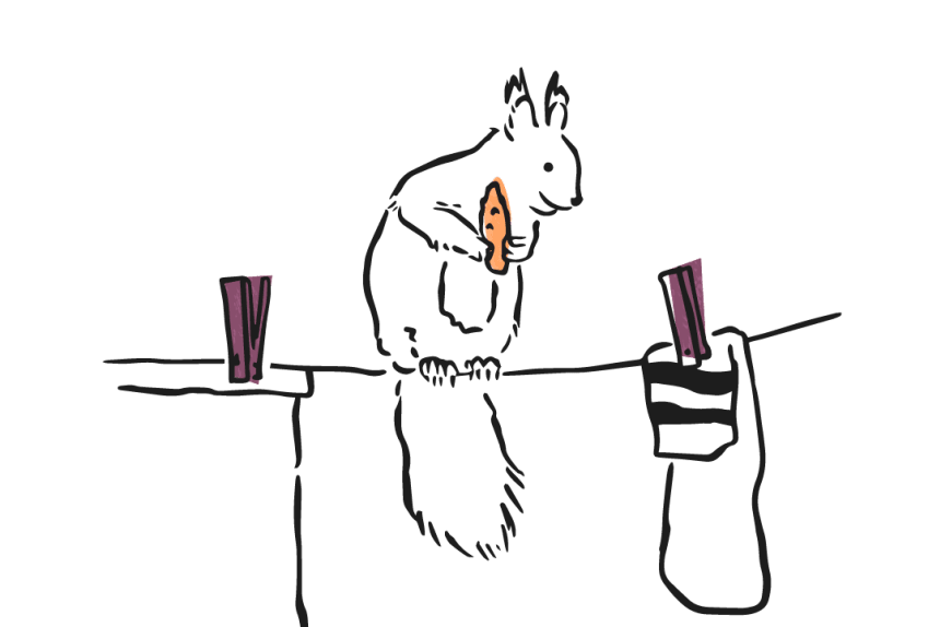 Illustration of a squirrell on a washing line
