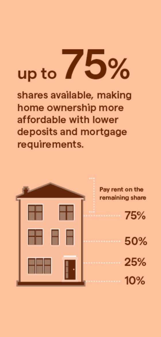 Infographic about home stepper