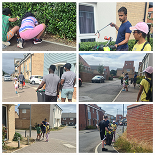 collage of images from a community litterpick day