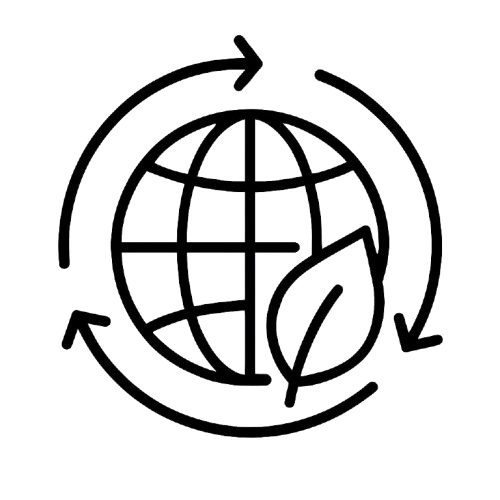 Vite + React