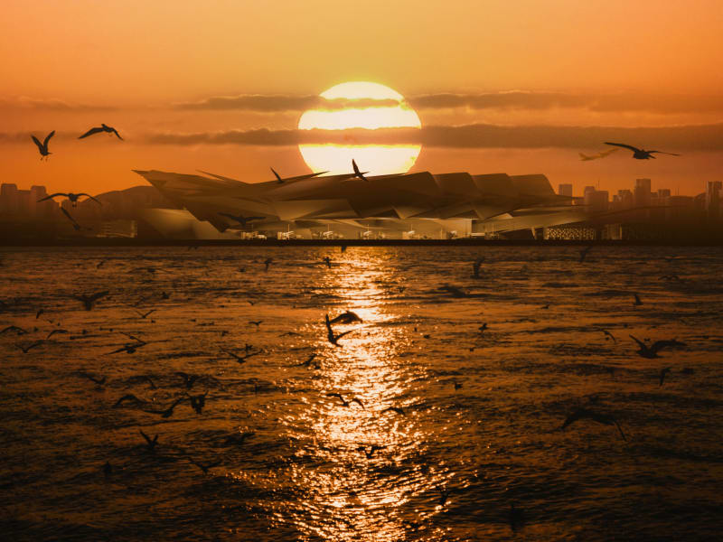 Kobe Airport Concepts