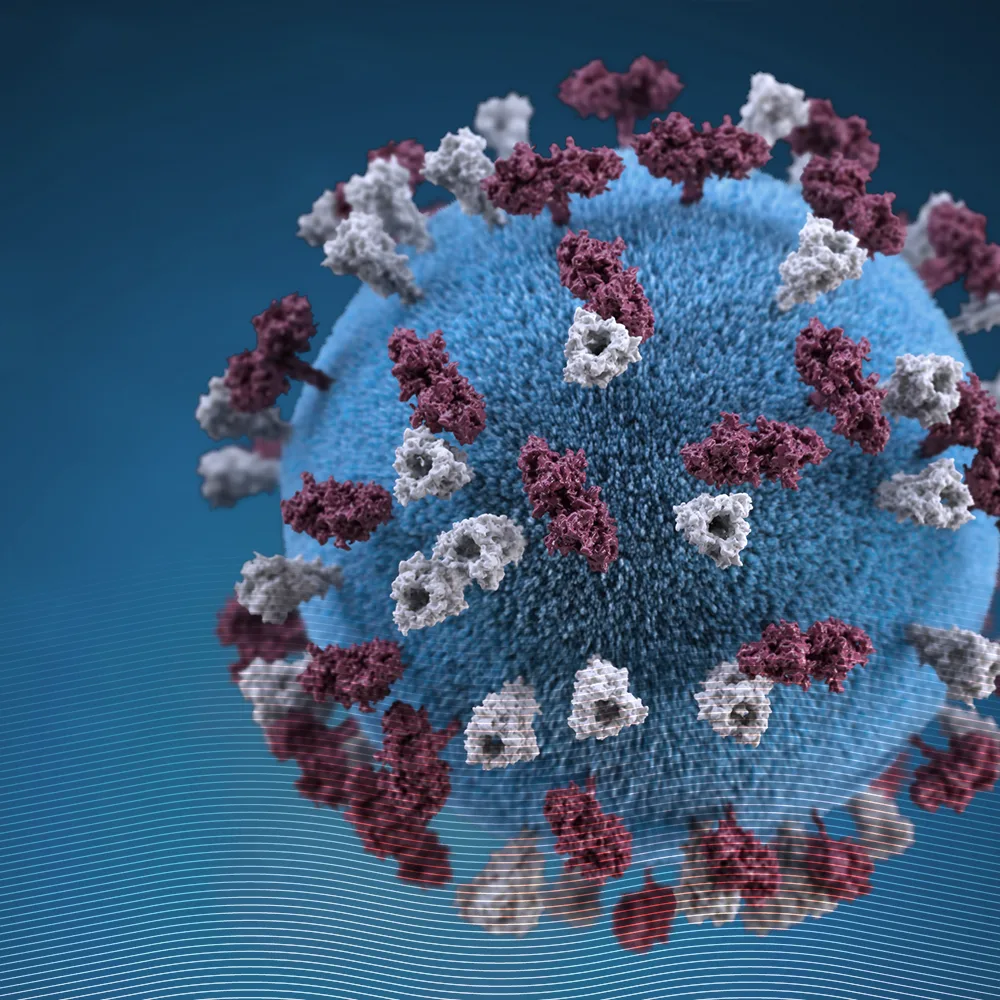 virus magnified
