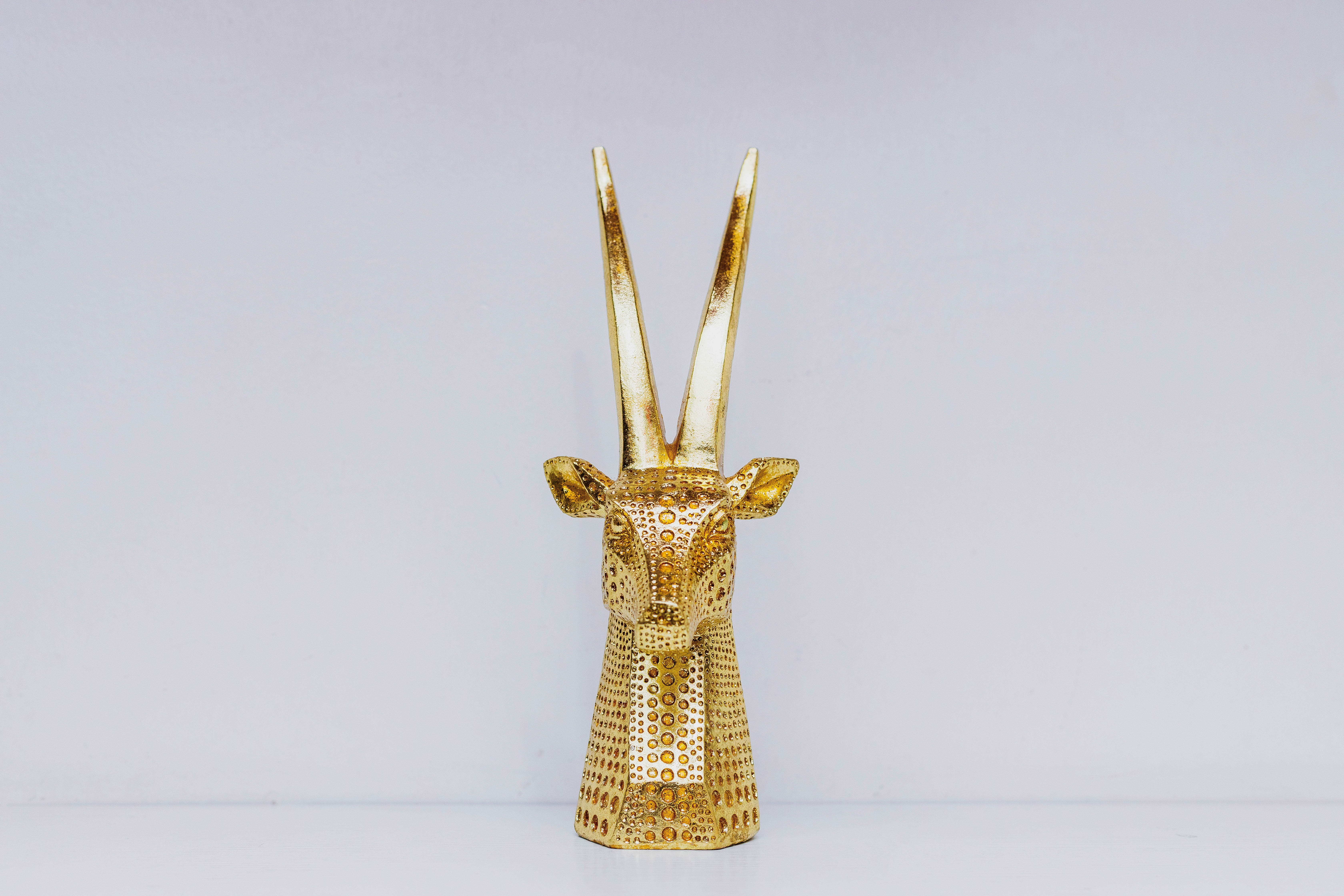 Gazelle prop as interior decor piece