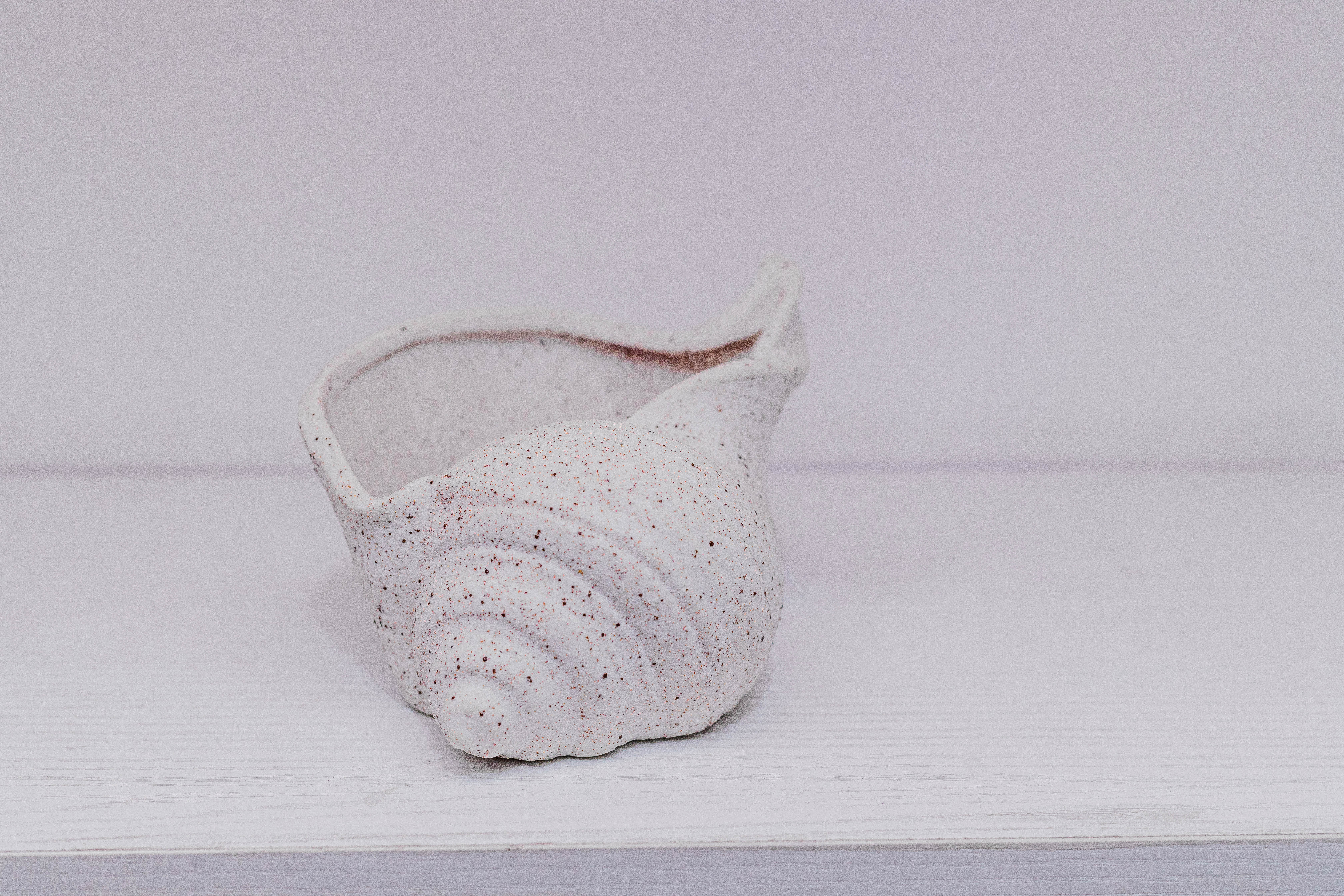 The ocean shell dish