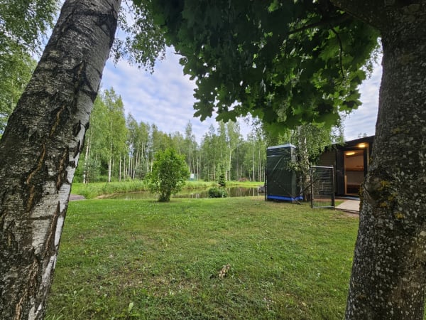 Tiigivaade