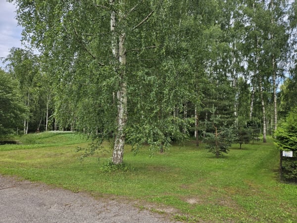 Sissesõidutee
