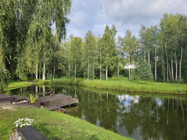 Tiigivaade