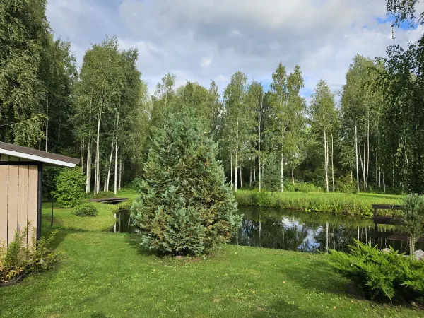 Tiigivaade