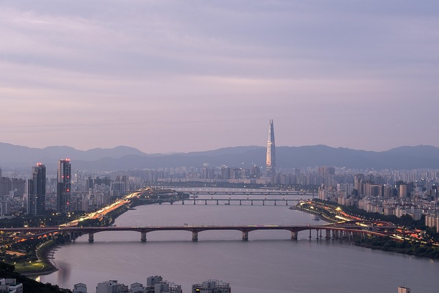 한강공원 피크닉 필수템들이 놓여있는 모습