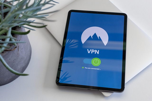 다양한 VPN 서비스 비교