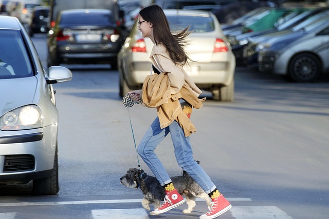 반려동물과 텃밭을 바라보는 이미지