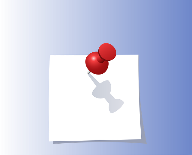 스캔 앱 활용 예시