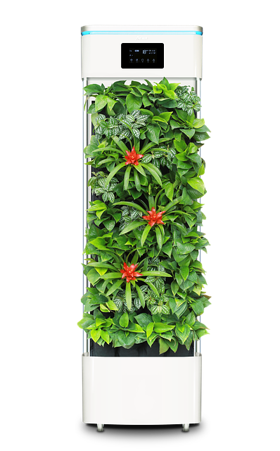 깨끗한 공기 속에서 편안하게 쉬는 가족의 모습