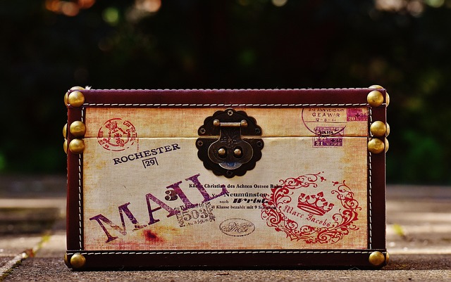 다양한 캐리어 소재와 바퀴 이미지