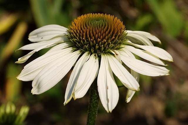 AI 주의사항 이미지