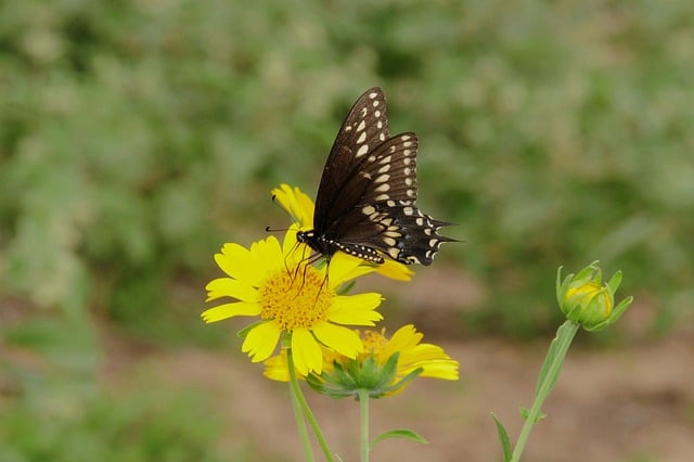 시간을 효율적으로 관리하는 사람의 모습