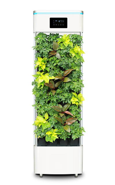 자동차 내부 공기 오염 이미지