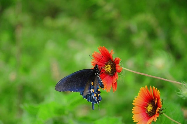 계획된 하루를 나타내는 플래너와 커피 이미지