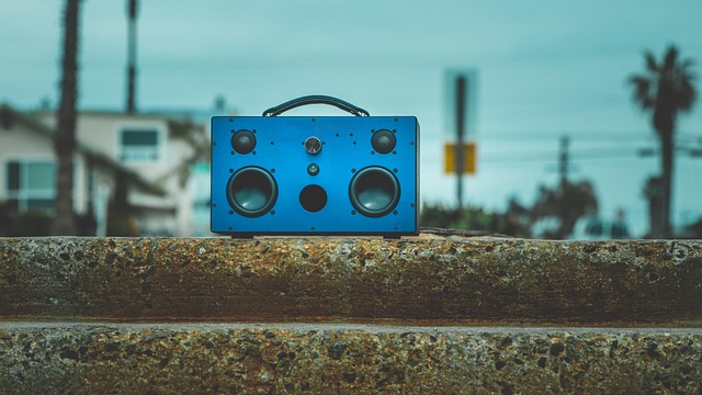 블루투스 스피커 청소