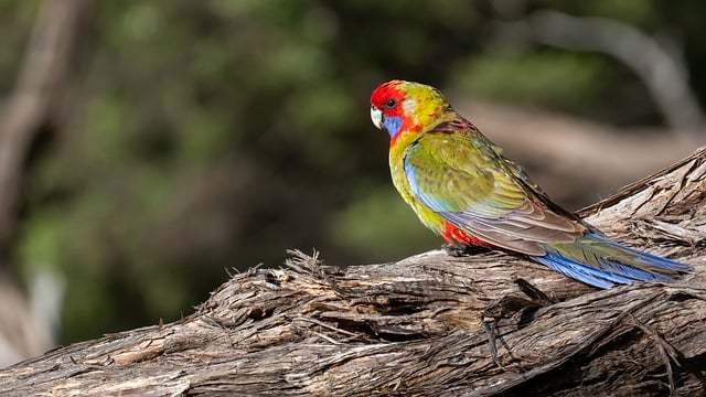 아이디어를 위한 블로그 글쓰기 전략