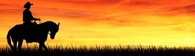 블로그 관리 및 분석