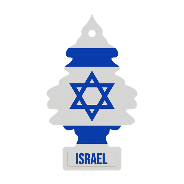 차량용 방향제 선택 가이드