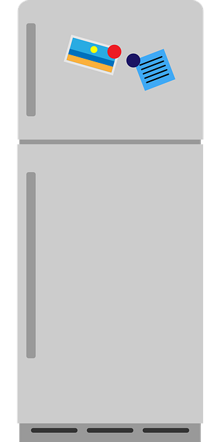 냉장고 문을 활짝 연 모습과 다양한 탈취제 제품들