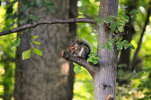 시간 관리의 중요성을 나타내는 이미지