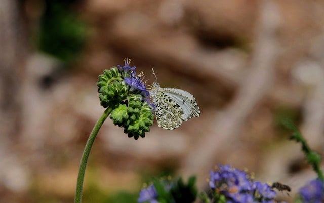 개인에게 맞는 시간 관리 유형을 찾는 이미지