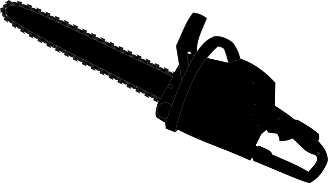 교체형 배터리 이미지