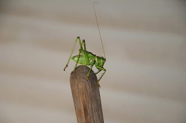 시간 관리 습관 형성 이미지