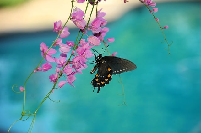 스마트 도구 활용 이미지