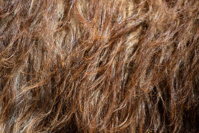 레깅스 세탁 방법