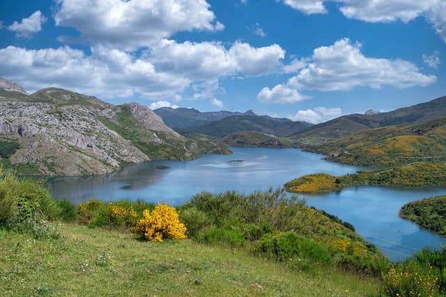 유연한 사고방식을 상징하는 이미지