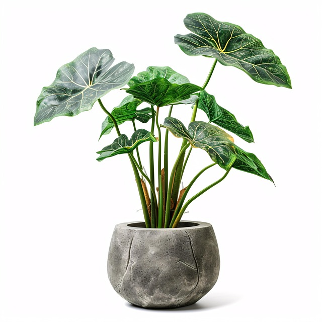 공기청정기 자동모드 민감도