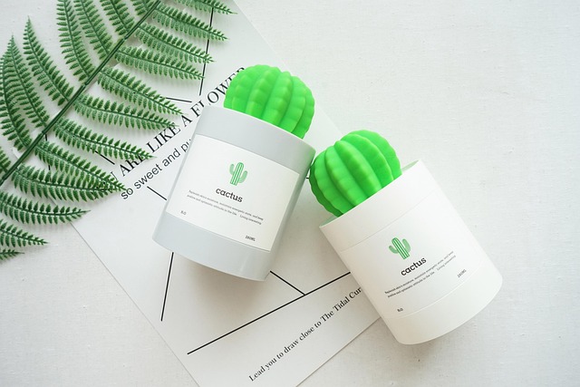 건조한 방에 놓인 가습기 이미지