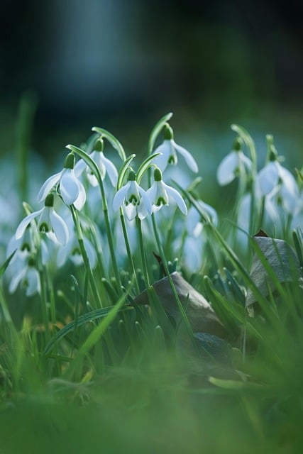 블로그 포스팅 가이드 이미지