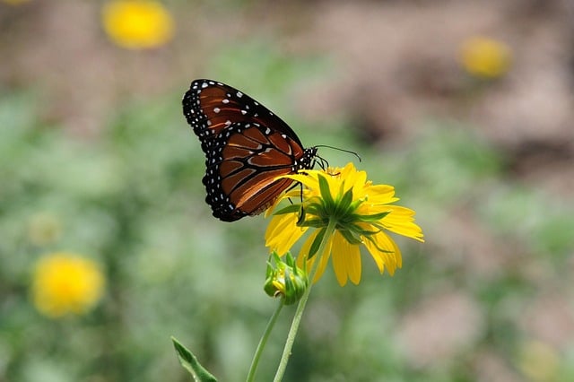 글쓰기 영감 이미지