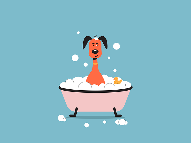 거품 지속력 테스트 준비물 이미지