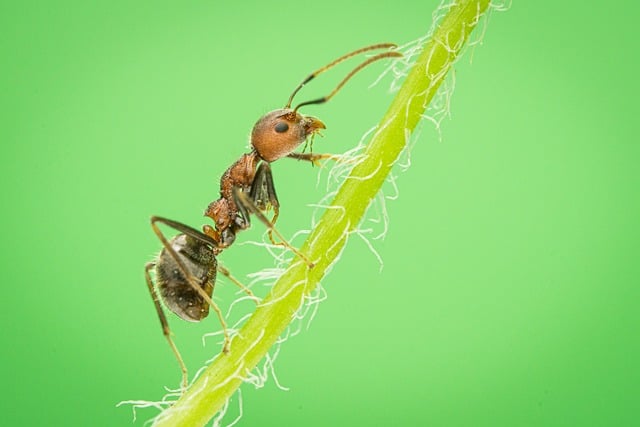 다양한 썬스틱과 피부 타입별 설명