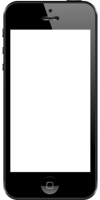 겨울 장갑 고르는 팁