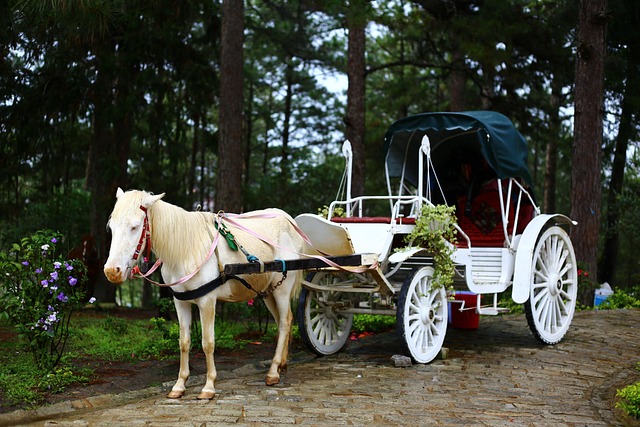 차량용 목베개를 착용한 운전자의 옆모습